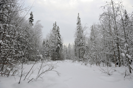 泰加湖在初冬有雪和霜冻。