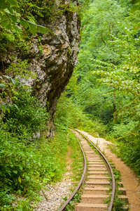 瓜姆斯科峡谷窄道铁路