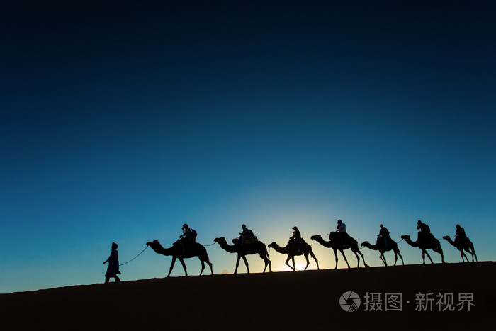 在撒哈拉沙漠中的骆驼商队照片-正版商用图片1kr7p1-摄图新视界