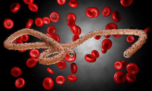 埃博拉病毒 细菌 病毒 流行。逼真的 3d 渲染与生物体内的血液细胞埃博拉病毒