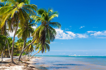 非接触式热带海滩上大西洋在多米尼加共和国