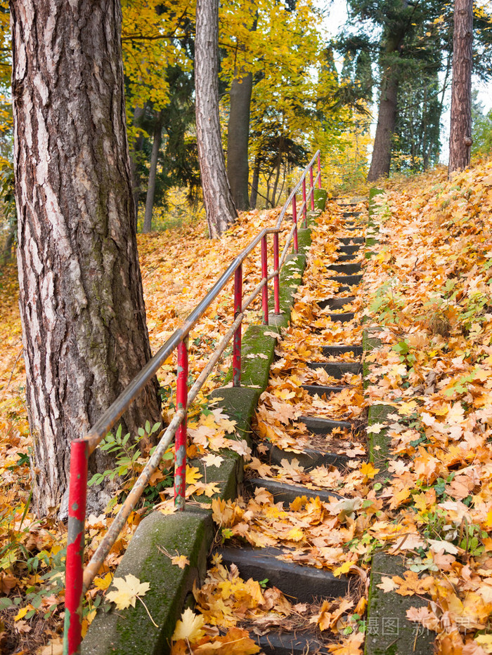 装饰着落叶的楼梯