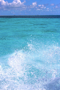 波在墨西哥的海流阳光明媚