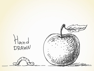 蠕虫和苹果的素描
