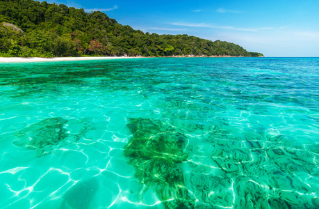珊瑚礁在水晶般清澈的海水，在热带岛屿安达曼 se 下