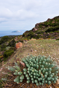 秋天的风景。Nisyros，希腊小岛