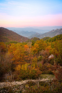 景观与酒吧 panarama 的图像