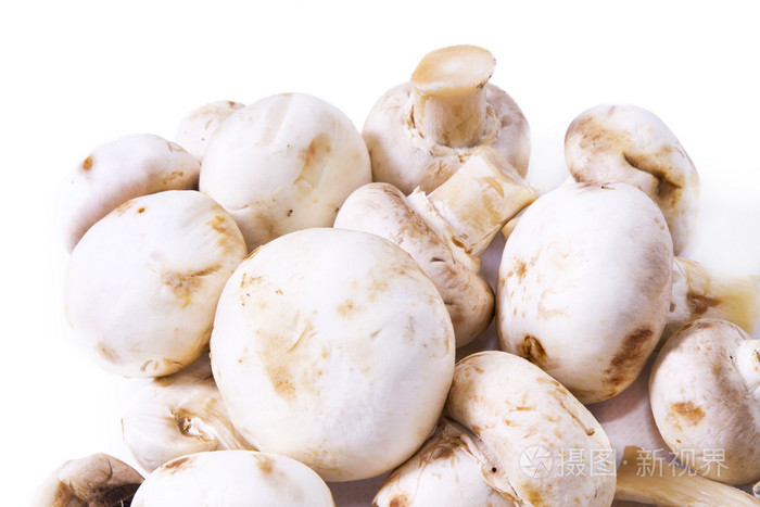 孤立的美味蘑菇