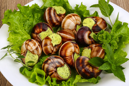 法国菜蜗牛
