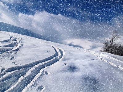 美丽的冬天景观与飘落的雪花