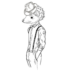 时髦刺猬刺猬男孩照片