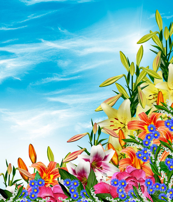 在蓝天白云的背景上的百合花