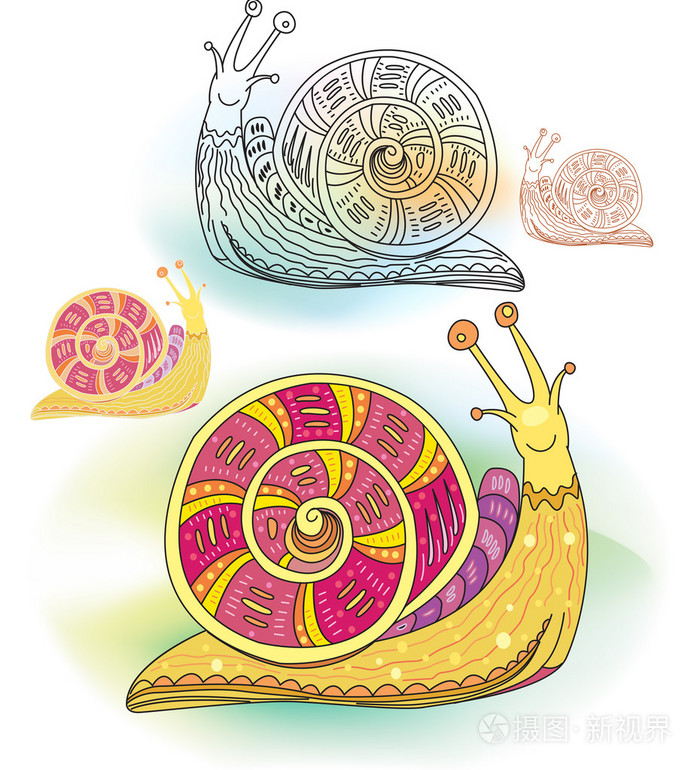 组的抽象装饰蜗牛