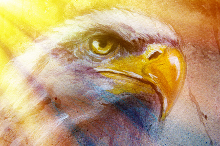 画鹰在抽象的背景颜色与斑点str。