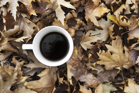 秋天的树叶，喝杯咖啡