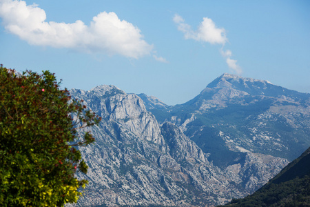 在黑山科托尔湾的美丽山景房