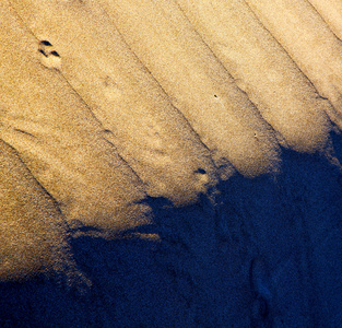 在西班牙纹理抽象的干砂和海滩