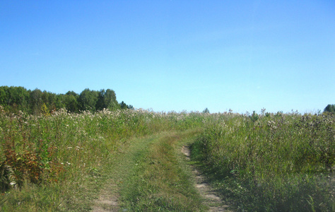 绿草和路