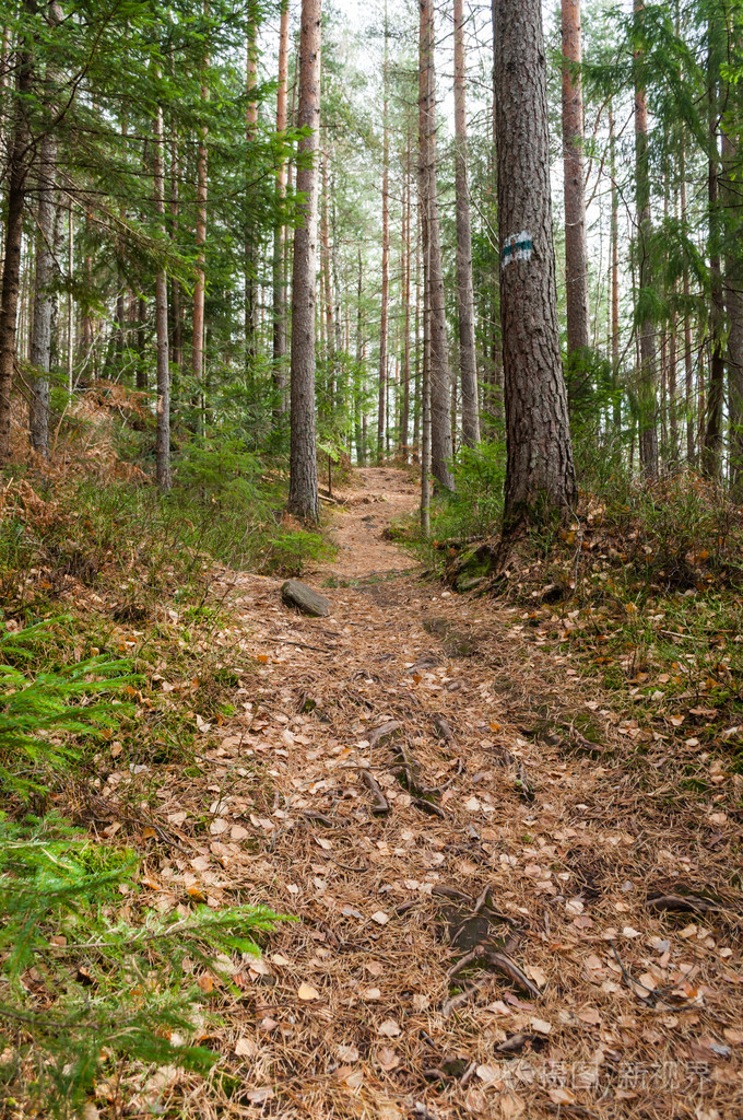 在山径λεπτομρειατηκαμανδειξηστθμευσ