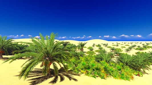 撒哈拉沙漠绿洲非洲撒哈拉沙漠绿洲照片