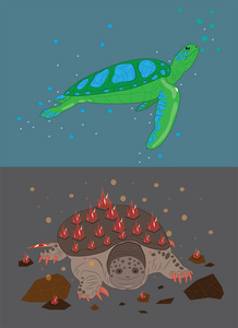 海龟绿松石和 kaymanovy 龟红宝石