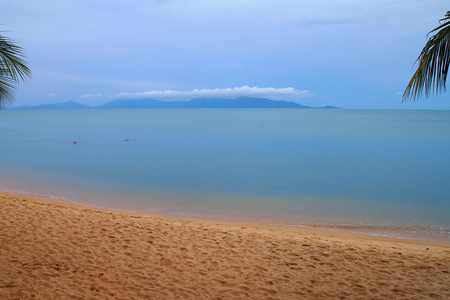 热带海滩与岛棕榈树