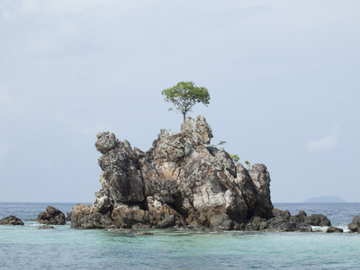 海和蓝色的天空背景上独自一人一棵大树