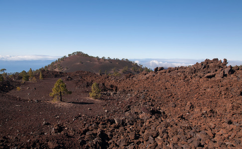 泰德特内里费岛穿得嫩黄嫩黄的火山景观