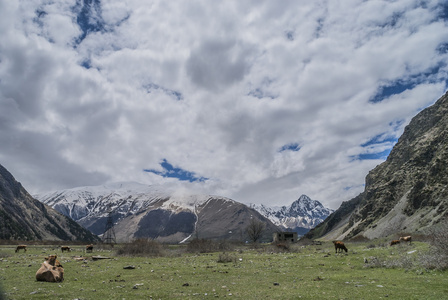 绿油油的草地，山 kavkazkih