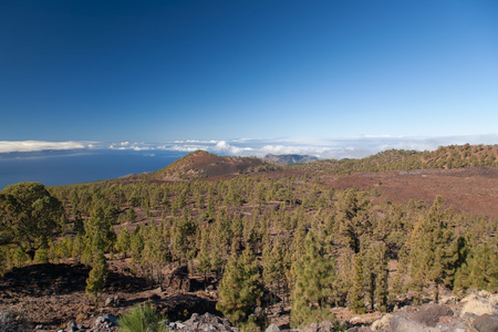 特内里费岛海岸景观