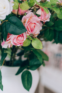 粉色玫瑰站在简约风格的白色表图片