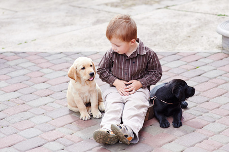 一个快乐的小男孩的肖像与西伯利亚哈士奇小狗在地板上的工作室小可爱