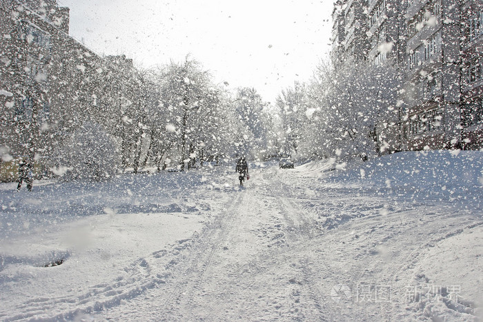 城市被雪覆盖, 从树上落下的大片雪花