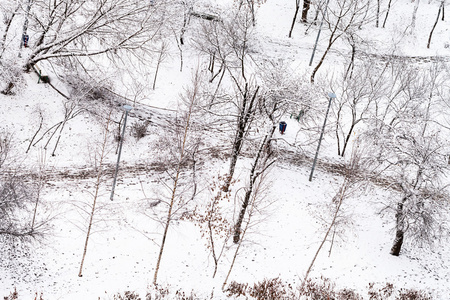 雪城公园人行道的上面图片