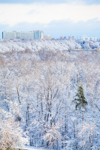 雪城公园和城市在冬天图片
