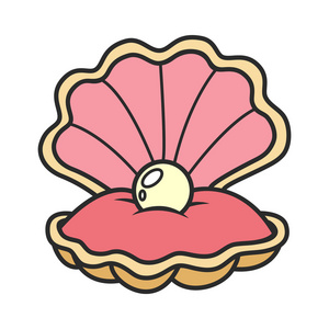 扇贝珍珠珍珠的贝壳扇贝照片