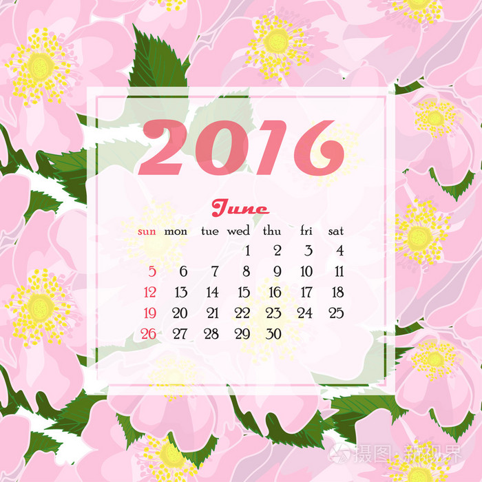 2016年日历装饰花卉无缝背景。