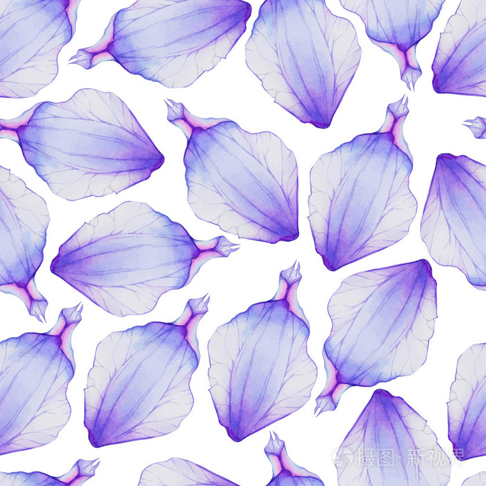 与紫色花瓣图案