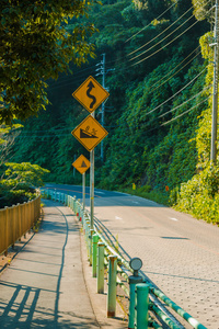 曲线和斜坡道路上的标志