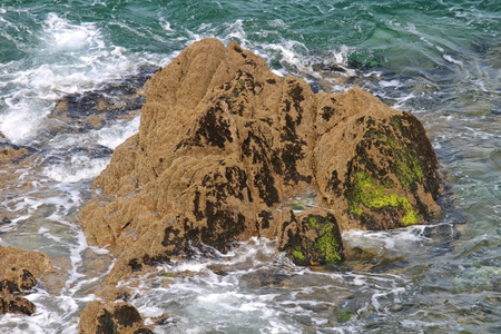 从凯尔特海景观