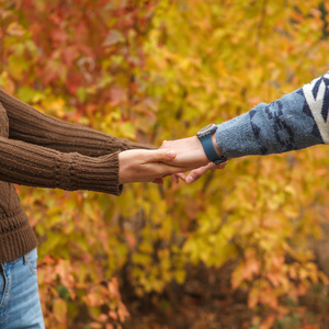 爱夫妇手牵手在秋天的公园户外
