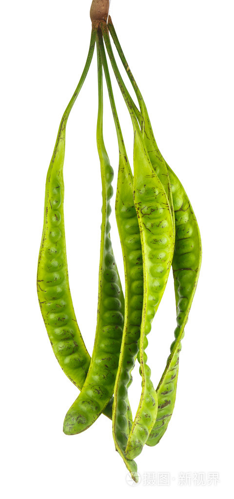 新鲜的臭豆白色背景