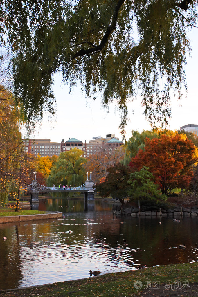 波士顿公共花园