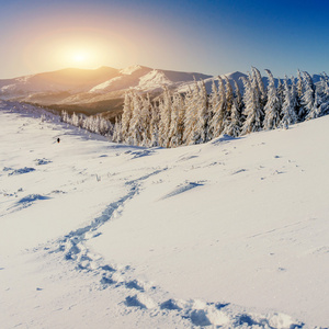 梦幻般的冬季景观和被践踏的路径，在日落时那 lea
