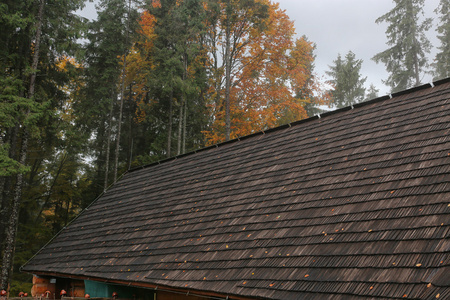 房子木屋顶