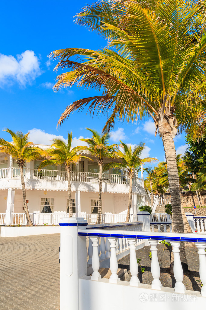 棕榈树在加勒比风格的口岸与典型的白色大厦波多黎各calero