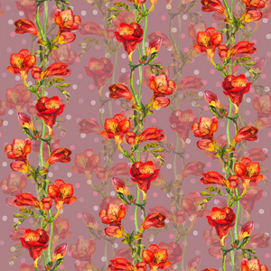 无缝壁纸用豌豆花卉波尔卡设计具有异国情调的红色小苍兰花