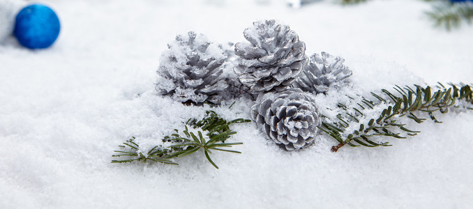 雪与装饰圣诞组成