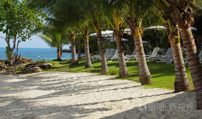 沙子和绿色的草坪, 棕榈树和沙滩椅舒适迷你沙滩