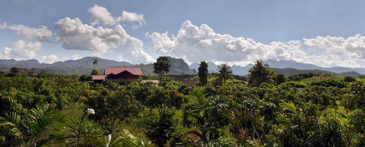 泰国清迈的房屋树木山脉和多云的天空全景